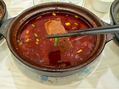 -阆中马记特色砂锅(新村路西段店)