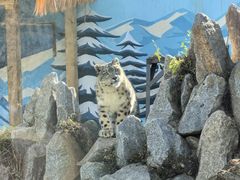 -青藏高原野生动物园
