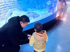 -烟台海昌鲸鲨海洋公园