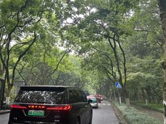 -旅马餐厅(茅家埠店)