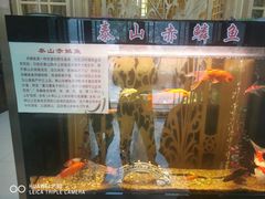 -广合草鸡·泰山炒鸡(擂鼓石店)
