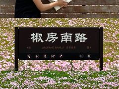 -汉长安城未央宫国家考古遗址公园