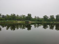 -永定河休闲森林公园