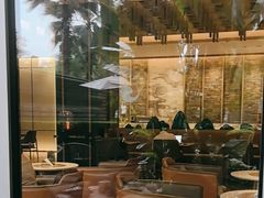 -大堂吧·雪茄吧·威士忌·下午茶(深圳机场希尔顿逸林酒店)