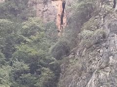 -神农溪纤夫文化旅游区