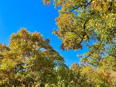 -北京鹫峰国家森林公园