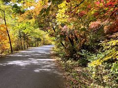 -丹东天桥沟景区