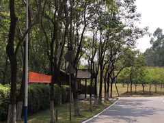 -火炉山森林公园