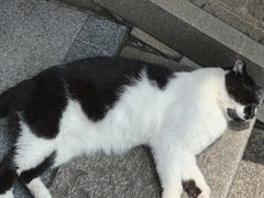 -宝通禅寺