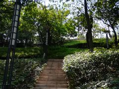 -广州国际生物岛山地公园揽胜园