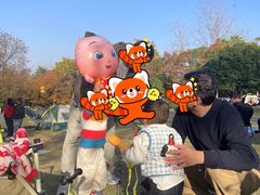 -南京市江宁方山