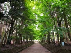 景点-醍醐寺