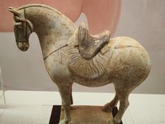 -衢州市博物馆