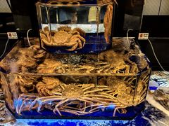 -蟹道乐(道顿堀本店)