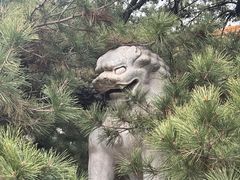 -潭柘寺景区
