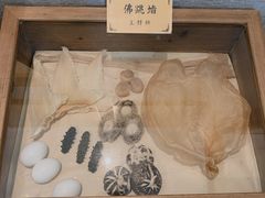 佛跳墙-宣和苑(华侨新村店)