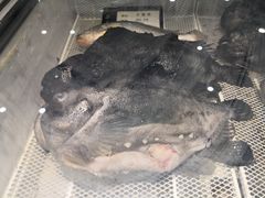 -上和臻品中国菜(花园街店)