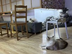 -白兔子密室(长寿路店)