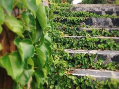 -龙潭生态旅游度假区