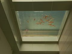 -上海长江河口科技馆