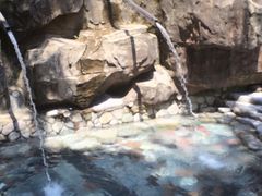 -宁海森林温泉