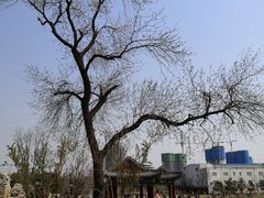 -西海子公园