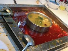 -二荆条·蜀鲜汇城市森林火锅