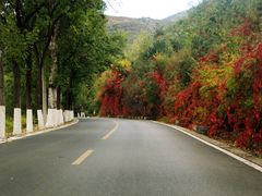 android_upload_pic-乌龙峡谷景区