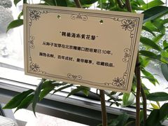 -精德口腔·种植修复·儿牙中心(财富中心店)
