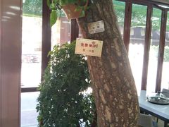 -睿柏云酒店-餐厅
