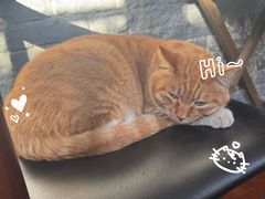 -CHURCH  BISTRO 教堂·餐吧