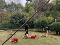 -杭州半山国家森林公园