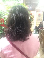 -渼树MSUTREE连锁沙龙