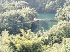 -鼎湖山风景区