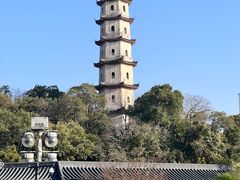 -江心屿景区