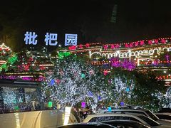 -枇杷园食为鲜火锅(南山店)