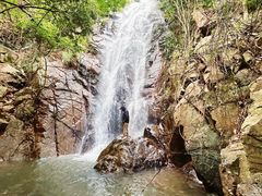 -东莞市大岭山森林公园