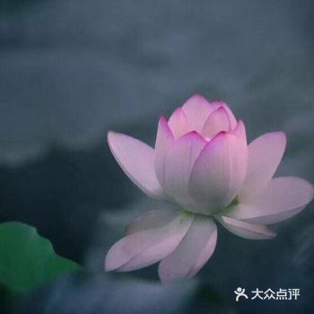 乐天随缘一些，就会轻松自在一些。别让外界浮躁了自己，晴天