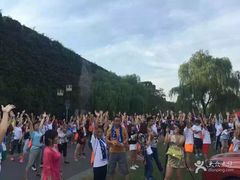-金吉鸟健身游泳