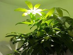 -壹零捌道·北京烤鸭(车公庄店)