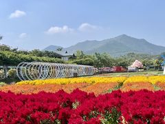 -盈香心动乐园