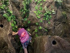 -中国杭州低碳科技馆