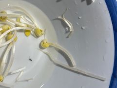 -咕嘟草帽鱼·牛奶一样的鲜鱼汤(包河万达广场创始店)