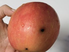 -叶氏兄弟果业(大连鲁迅店)