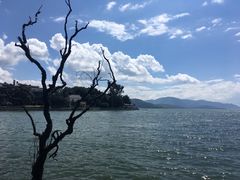 -南诏风情岛
