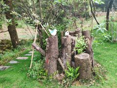 -杭州开元森泊度假乐园