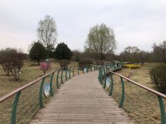 -潇河湿地公园