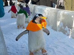 -波塞冬旅游度假区