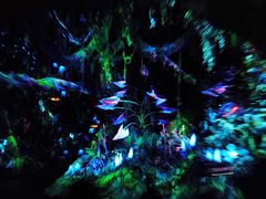 -奥兰多迪士尼动物王国乐园