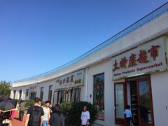 -上海长兴岛郊野公园